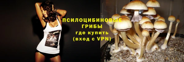 прущие крисы Алзамай