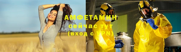 гидра Алексеевка