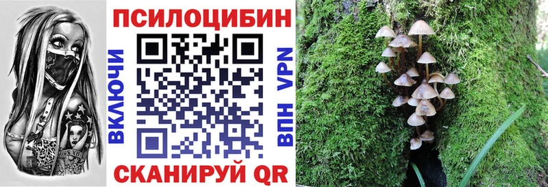 цены наркотик  Бежецк  Псилоцибиновые грибы прущие грибы 